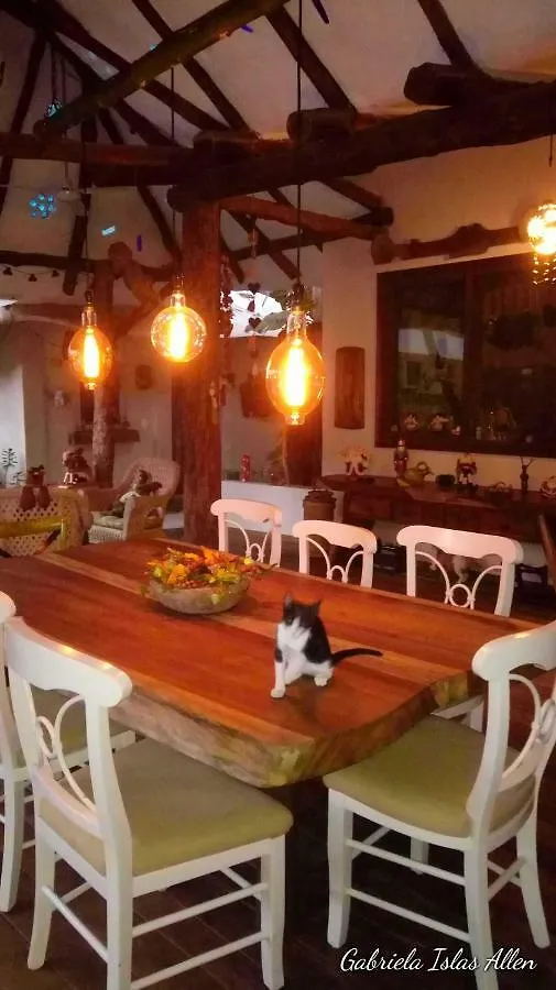 Casa Corazon Xcaret Apartment Playa del Carmen 0*,